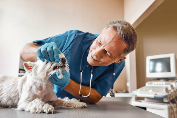 Best Emergency Root Canal Therapy in Kingston, PA